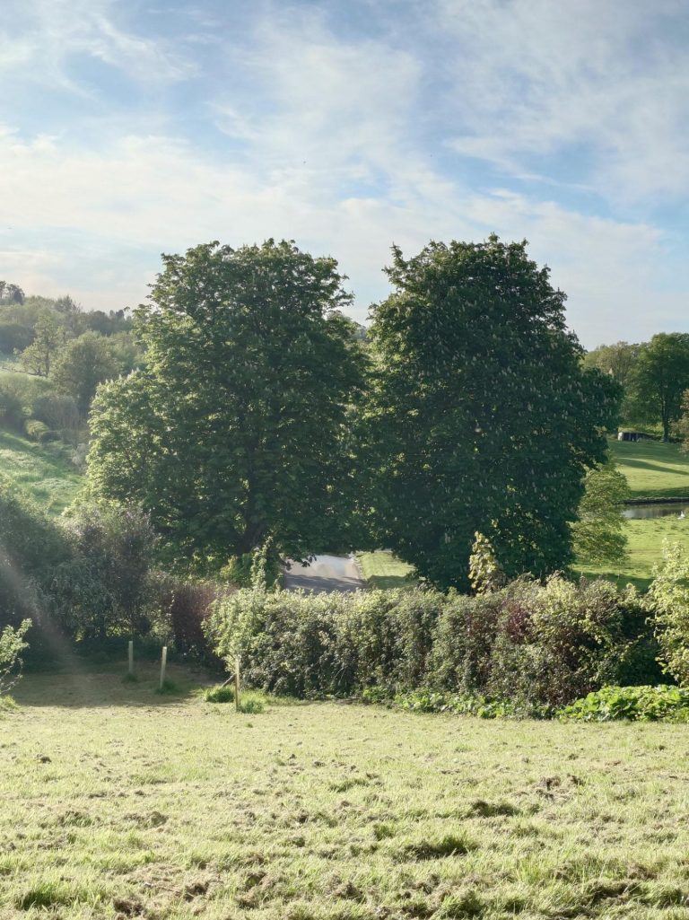 Horningsham landscape Landscape with fields and trees